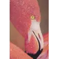 DRUK NA PŁÓTNIE Z APLIKACJAMI -A- FLAMINGO 80X3,8X120 cm